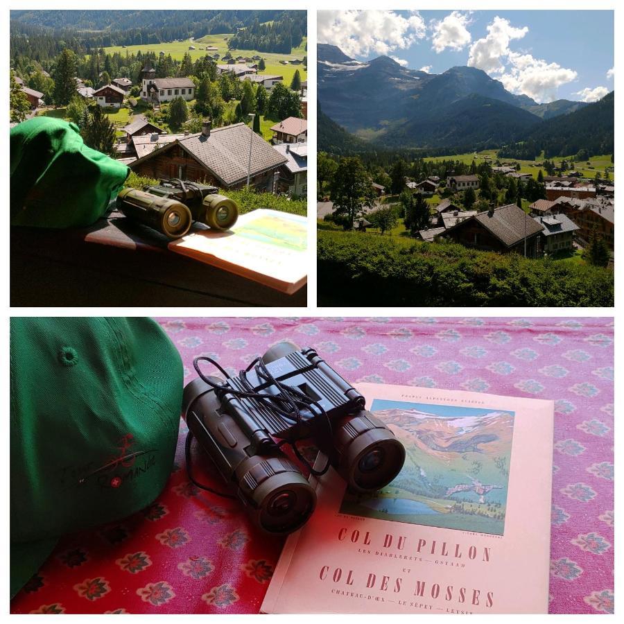 Studio Avec Vue Splendide Sur Les Diablerets Ngoại thất bức ảnh