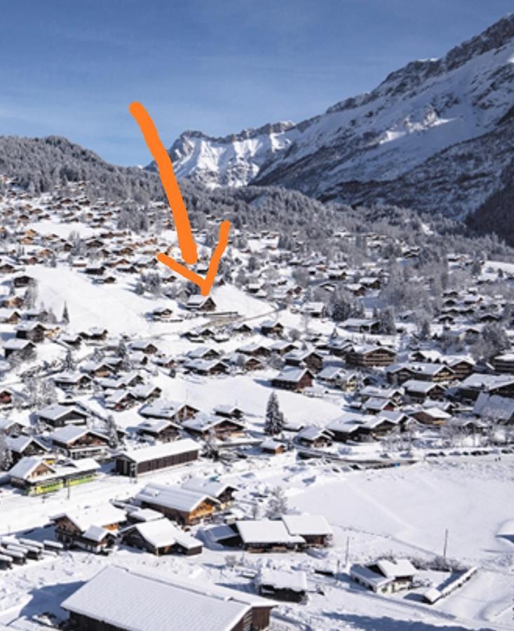 Studio Avec Vue Splendide Sur Les Diablerets Ngoại thất bức ảnh