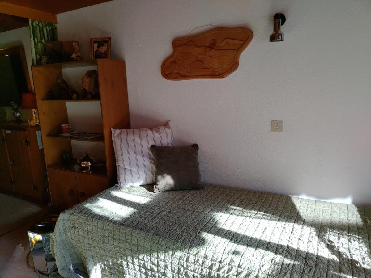 Studio Avec Vue Splendide Sur Les Diablerets Ngoại thất bức ảnh