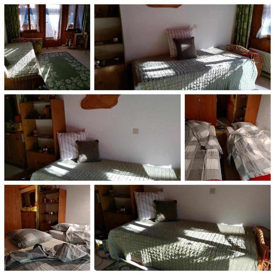 Studio Avec Vue Splendide Sur Les Diablerets Ngoại thất bức ảnh