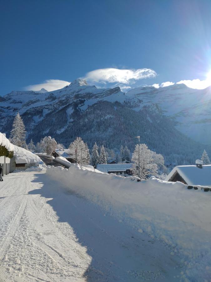 Studio Avec Vue Splendide Sur Les Diablerets Ngoại thất bức ảnh