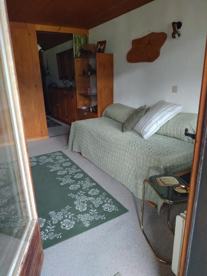 Studio Avec Vue Splendide Sur Les Diablerets Ngoại thất bức ảnh