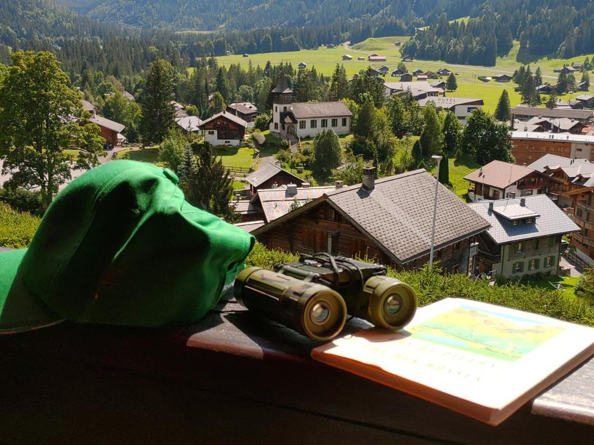 Studio Avec Vue Splendide Sur Les Diablerets Ngoại thất bức ảnh